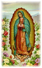 Guadalupe with Roses